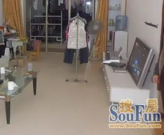 翡翠绿洲森林半岛