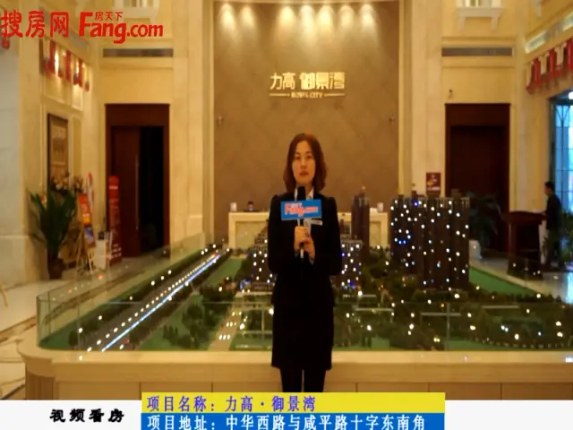 视频看房之力高御景湾