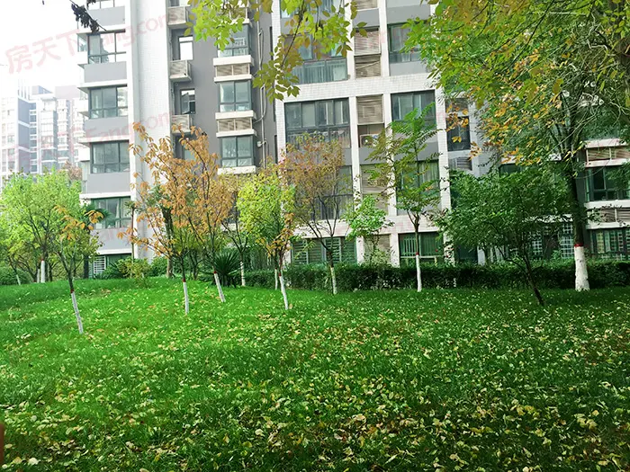 鑫苑国际城市花园